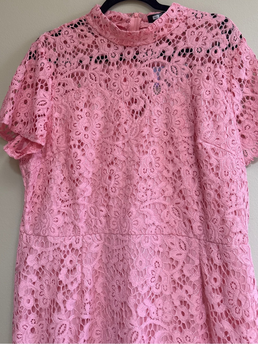 Curve Cap Sleeve Pink Lace Midi Dress - Picture 3 of 6